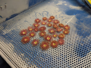 3D5 - PLA